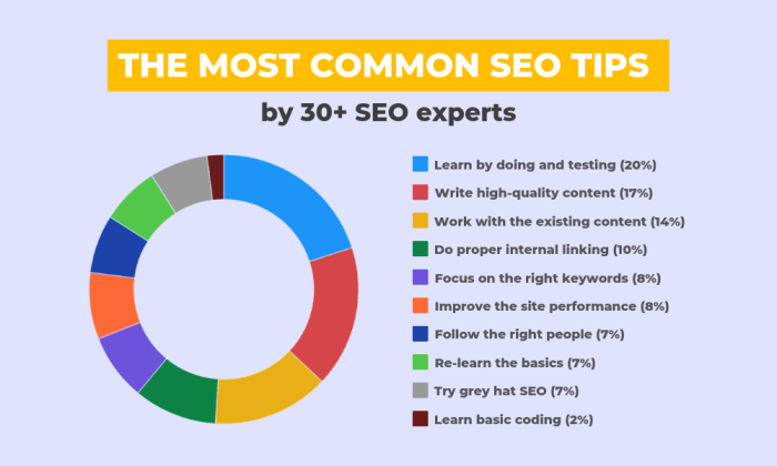 SEO for Beginners