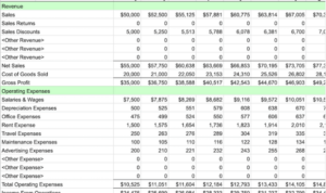 Budgeting for Entrepreneurs